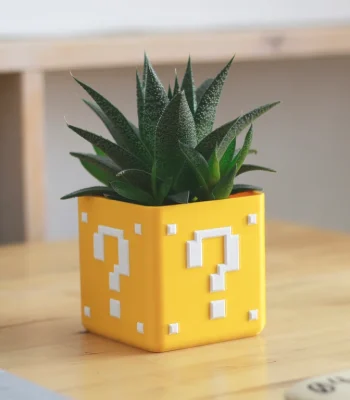 pot de fleurs Mario