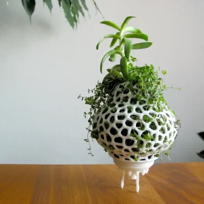 lattice planter