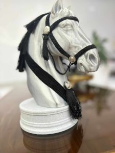 Édition Argentée — « Luxe Moderne » 